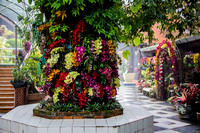5D3_6542