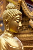 5D3_6578